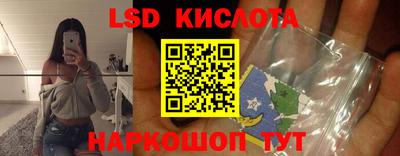 амф Гусь-Хрустальный