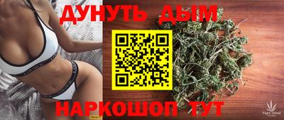 МДПВ Гусев
