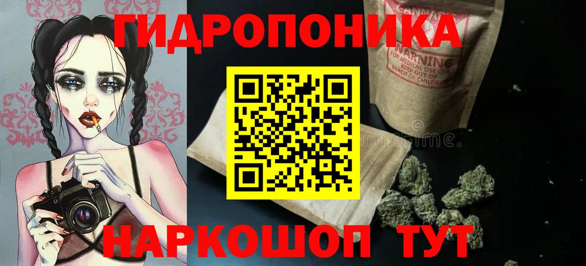 Шишки марихуана планчик  Каннабис планчик  Вход с VPN  Бошки марихуана семена  Можга  Конопля марихуана 